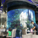 センタラ アズール ホテル パタヤ (Centara Azure Hotel Pattaya)の朝食